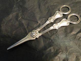 Albert Pattern Pair Grape Scissors Sterling Silver Made C.  1860 By W R S photo
