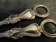 Albert Pattern Pair Grape Scissors Sterling Silver Made C.  1860 By W R S Other photo 1
