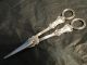 Albert Pattern Pair Grape Scissors Sterling Silver Made C.  1860 By W R S Other photo 2