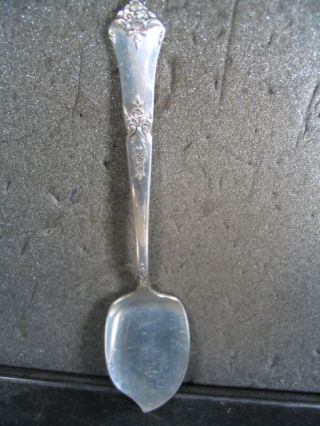 Sterling State House Stately Jelly Spoon photo