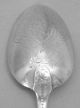 Antique Sterling Picture Back Spoon Florals London 1875 Bright Cut Engraved Stem Other photo 5