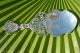 Antique 1900 Solid Silver Cherub & Roses Pie Server - Service Spoon One Of Kind Other photo 8