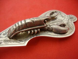 Hart Bros.  Sterling Silver Lobster Spoon 3d Figural & Realistic Applied C.  1865 photo