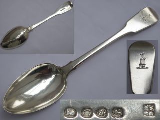George Iii 1798 Sterling Silver Serving Spoon William Eley & William Fearn photo