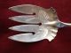 Gorgeous Scarce Aesthetic Whiting Palm Sterling Silver Fish Serving Set No Mono Other photo 4