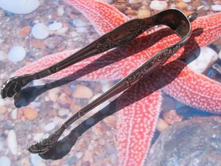 French Solid Silver Sugar Tongs Pince à Sucre Argent Massif Minerve Vanlaar photo