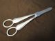 Grape Scissors Sterling Lond 1899 By T Bradbury - Old English Thread Pattern Other photo 1