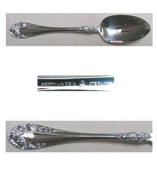 Normandy Rose Oval Or Dessert Spoon Northumbria photo