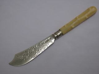 Victorian English Sterling Silver Butter Spreader Aitkin Brothers Sheffield 1892 photo
