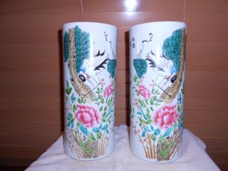 Pair Of Chinese Porcelain Vases photo