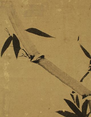 Japanese Hanging Scroll : Kano Tanyu 