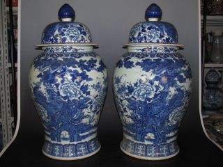 Chinese Huge Rare Blue And White Porcelain Phoenix Peony Pot A Pair photo