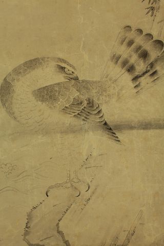 Japanese Hanging Scroll : Unkoku School 