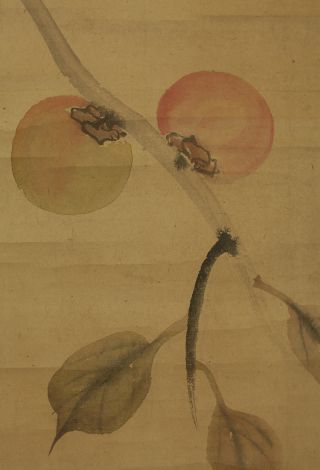 Japanese Hanging Scroll : Sakai Hoitsu 