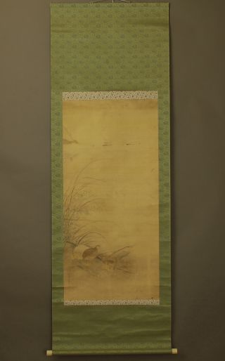 Japanese Hanging Scroll : Kano Soushu @b272 photo