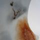Famille Rose Square Vase Recognized Artist Signed Red Seal Calligraphy Qing 19 C Vases photo 10