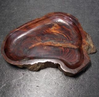 F694: Japanese Wooden Small Tray Made From Popular Pine Tree.  Tasty Form photo