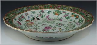 Lovely 19th C Chinese Famille Rose Charger W/ Butterflies,  Flowers,  Fruits photo