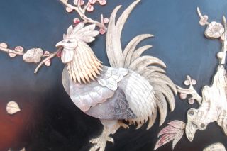 Meiji Period Japanese Shibayama Wall Panel - Rooster Carved Bone Faux Ivory photo