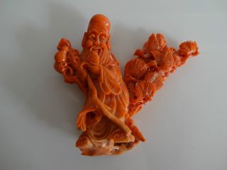 A Chinese Antique Carved Red Coral Sau Lao Longevity Statue photo