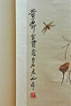 Chinese Scroll Painting: Insects Paintings & Scrolls photo 2