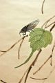 Chinese Scroll Painting: Insects Paintings & Scrolls photo 5