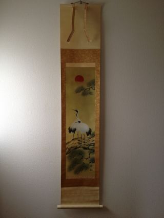 207 Double Cranes & Pine Tree Japanese Antique Hanging Scroll W/box photo