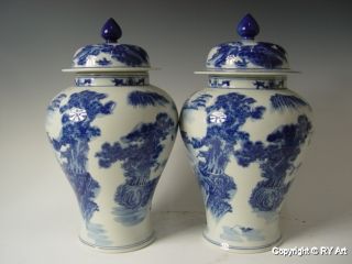 Pair Chinese Blue White Porcelain Ginger Jars 15 