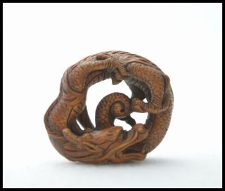 Old Japanese Carved Tsuge Netsuke Ryu //// Legendary Chinese Animal///signed photo
