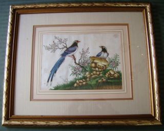 Antique Chinese Pith Paper Painting Of Pair Of Birds In Landscape 1780 - 1850 photo
