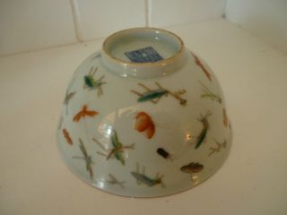 Impressive Hand Paiinted Chinese Porcelain Famille Insect Bowl - Signed photo