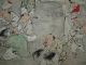 Set Of (5) Amazing & Rare 18th/19th C.  Edo Period Antique Japanese Painting Paintings & Scrolls photo 6