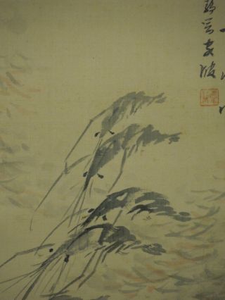 Hanging Scroll 湯貽汾 Chinese Painting Jiku Kakejiku China Shrimp Toinfun 282 photo