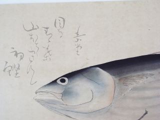 Fish,  Tuna Japanese Woodblockprint Orig Kuchi - Early Keishu ' S Print photo