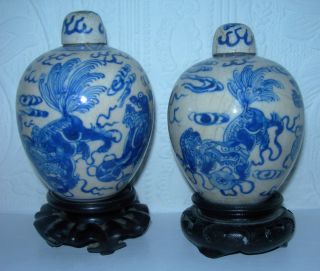Fine Pair Of 19th Century Chinese Blue & White Vases - Lion Dogs - Kangxi Marks. photo