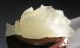 470g Ancient China Hetian Jade Hand - Carved White Jade Big Statue Cabbage 4.  9inch Other photo 7