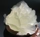470g Ancient China Hetian Jade Hand - Carved White Jade Big Statue Cabbage 4.  9inch Other photo 8