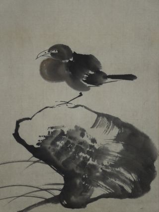 Chinese Painting　makuri Hanging Scroll Jiku China Art　the Bird On A Rock 413 photo