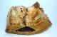 Antique Chinese Faux Ivory Carved Ornament On Stand. Other photo 4