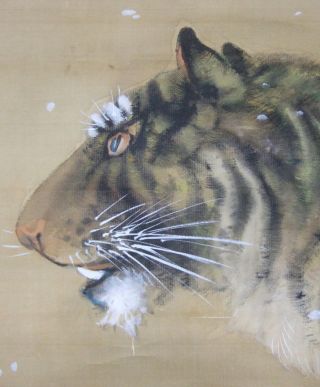 F940: Japanese Hanging Scroll Tiger With Grass W/flower Drift. photo