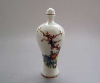 18 - 19th C.  Chinese Pastels,  Enamel Glaze Snuff Bottles 010 photo