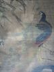Antique Chinese Phonenix Bird Painting With Sign /seal Paintings & Scrolls photo 6