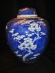 Large & Rare Antique Chinese Blue & White Porcelain Prunus Jar Vase Vases photo 1