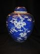 Large & Rare Antique Chinese Blue & White Porcelain Prunus Jar Vase Vases photo 2