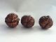 3 Antique Chinese Carved Nut Shells Figural Buddhas Monks Tigers Dragons Pagodas Other photo 9