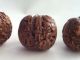 3 Antique Chinese Carved Nut Shells Figural Buddhas Monks Tigers Dragons Pagodas Other photo 11