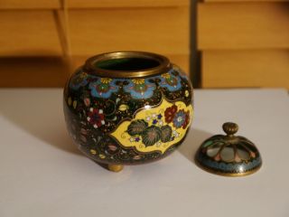 Japanese Cloisonne Covered Jar Urn Box photo