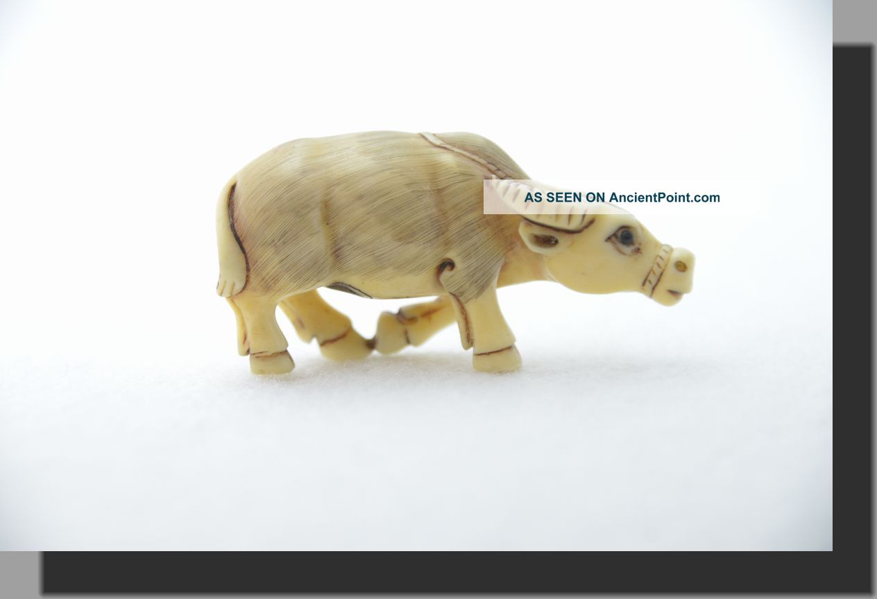 Old Japanese Carved Ox Bone Netsuke Buffalo /// Signed Netsuke photo