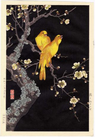 Nishimura Hodo Japanese Woodblock Print Canary 1938 photo