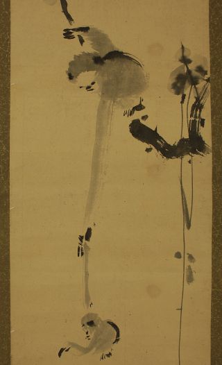 Japanese Hanging Scroll : Kano Isenin Naganobu 